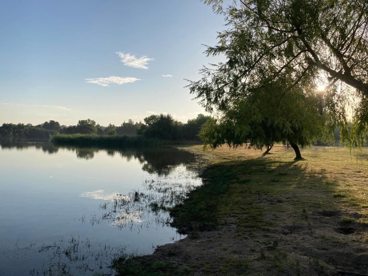 Alojamiento La Duquesita Διαμέρισμα Alba De Tormes Εξωτερικό φωτογραφία