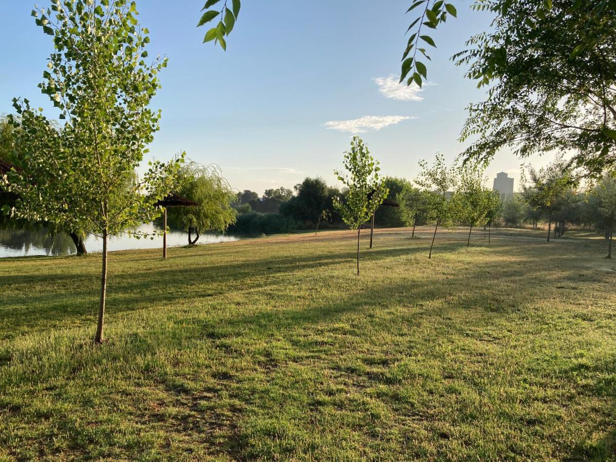 Alojamiento La Duquesita Διαμέρισμα Alba De Tormes Εξωτερικό φωτογραφία